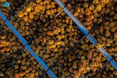 GT6I RKWgAA5g4P?format=jpg.jpg