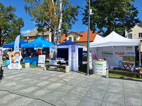 GT51V 3X0AAhyvk?format=jpg.jpg