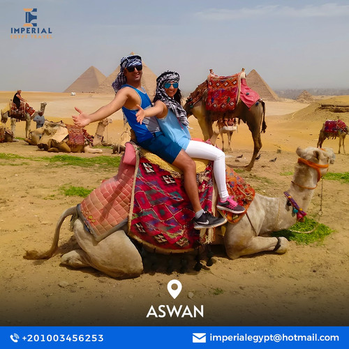 Book Now Aswan Day Tours.jpg