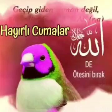 CZz7cYD8UzjZfzeg.jpg