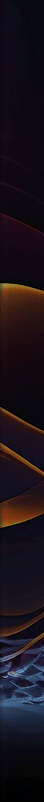 Announcement Flyer Type 2 04.gif