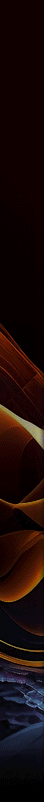Announcement Flyer Type 2 02.gif