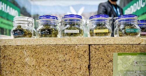 453627687 486574104315926 964577909991764025 n.jpg?stp=c0.5x0.5f dst jpg flffffff p500x261 q75& nc c.jpg