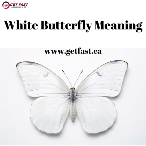 White Butterfly Meaning.jpg