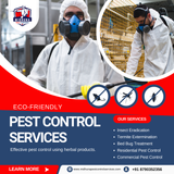 Looking for eco-friendly pest control?