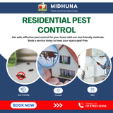 Need pest control services in Hyderabad?
