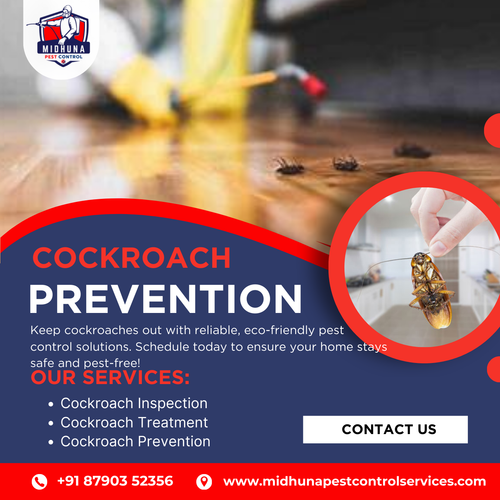 Prevent cockroach infestations with Midhuna Pest Control in Hyderabad.