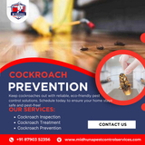 Prevent cockroach infestations with Midhuna Pest Control in Hyderabad.