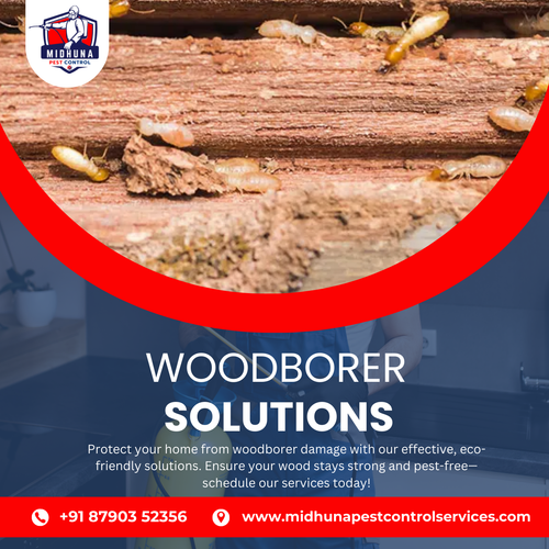 Worried about woodborers? Get expert control with Midhuna Pest Control in Hyderabad.
