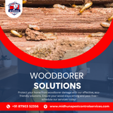 Worried about woodborers? Get expert control with Midhuna Pest Control in Hyderabad.