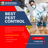 Looking for the best pest control near you?