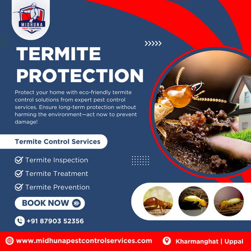 Protect your home from termites with Midhuna Pest Control in Hyderabad.