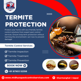 Protect your home from termites with Midhuna Pest Control in Hyderabad.