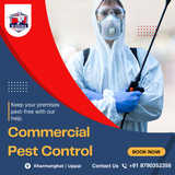 Protect your business with Midhuna Pest Control in Hyderabad