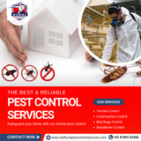 Looking for pest control services in Hyderabad?