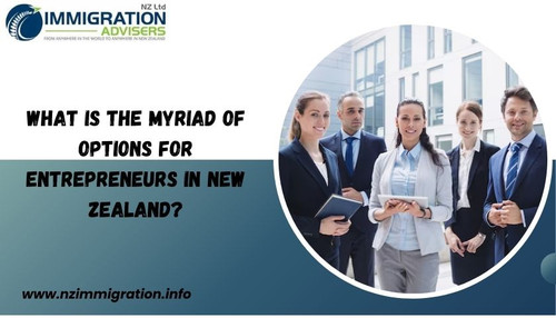What is the Myriad of Options for Entrepreneurs in New Zealand?.jpg