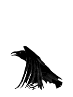 Rabe Gif 30.gif
