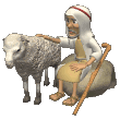 animiertes schafe bild 0112