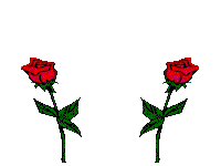animiertes rose bild 0044.gif