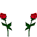 animiertes rose bild 0044