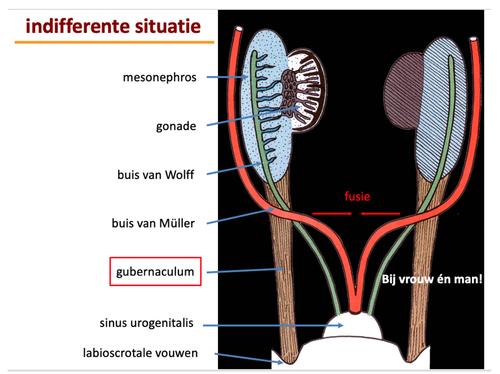 16c82f746584.png