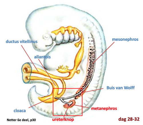 6f572d398c37.png