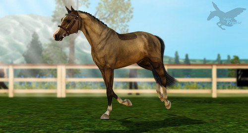 Teo Trot Up II BE.jpg