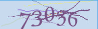captcha.png