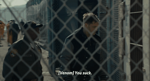 v2 221.gif