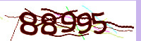 captcha.png