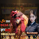 Sv388 🉐 Situs Judi Sabung Ayam Online Wala Meron Adu Ayam 24 Jam