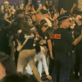 IMG 2233.gif