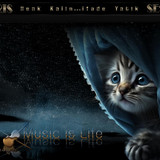 Kedi Radyo Tema 2 liebefee13