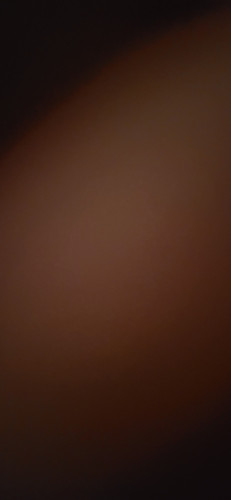 1000080501.jpg
