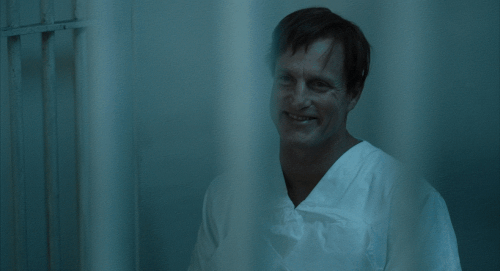 v2 230.gif