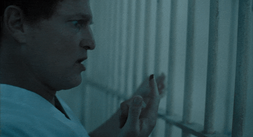 v2 243.gif