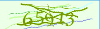 captcha.png