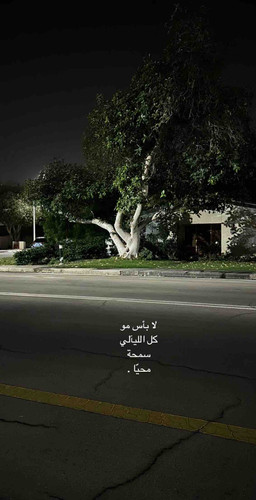 3441854D 1471 4A99 A1A2 A662F40D4C31.jpg