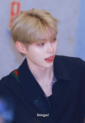 img 172087101746094be1f0dc9369b46a711e80a614245d2d21a08bcd29d45aa8878f5f3f21e84f8 edit 1866800642668.jpg