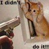 0F43D795 8DB3 445C 8A42 DD9F9629E3B8.gif
