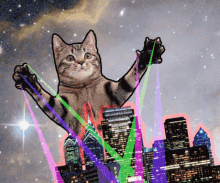 C45C50D8 F172 42D9 8DD6 2CDAAD253A0E.gif
