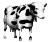C9D5BC48 558A 4C47 A5BB CAEE95DD1A0B.gif