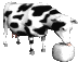 52EB969C 816F 43A9 89D6 11541969E6CA.gif