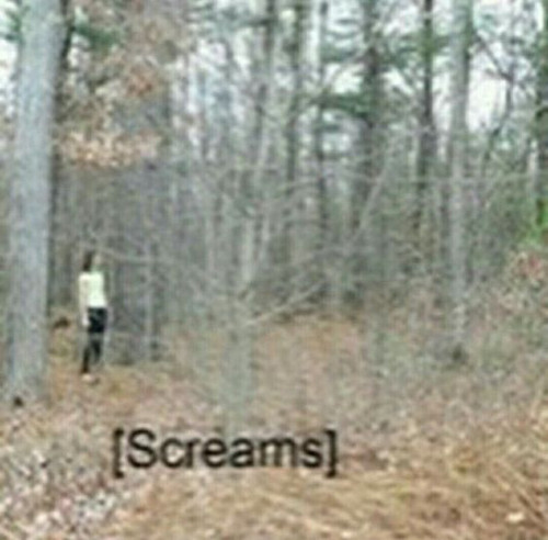 E869D4FB 50E9 480C 939B 4B86A7D0A37D.jpg