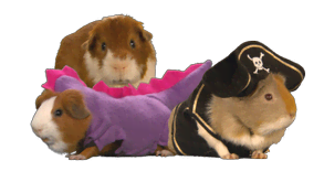 95990E90 6135 47EF A63E 7D7A59606B0C.png
