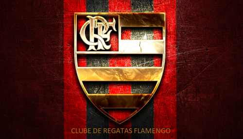 FLAMENGO1.png