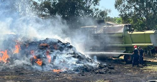 8906048220613284665?url=https%3A%2F%2Ffierisot.com%2Fwp content%2Fuploads%2F2024%2F07%2FIMG 20240713.jpg