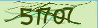 captcha.png
