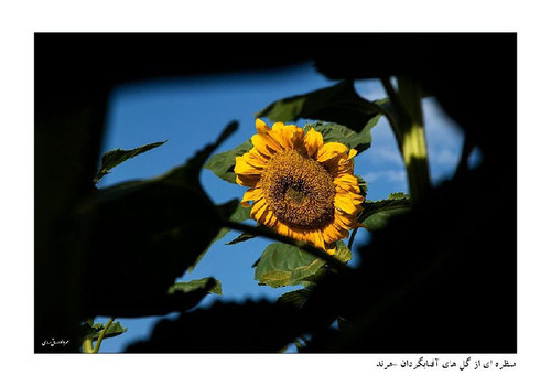 YGJJLZb4 BZyyePd9c KOo0Uf9EUCj7ULkUwizOe1FPdhRFo5RjRxQHS90YQR dMaDdUiy67 IgpPNyclpBBTNNCIl1jvbK71WNc.jpg