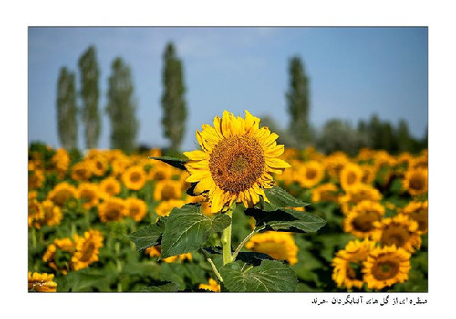 VYYiUMk0TtBkRiyM3EP2ovSXb8wiT73iLgaBeqXe50Dzl6XcKKKZodJW7c9T69ukvNwP43E355aiswZsfa 0mmdyiPdXzeYr9jS8.jpg